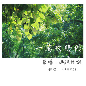 赤裸航空女服务员√视频
